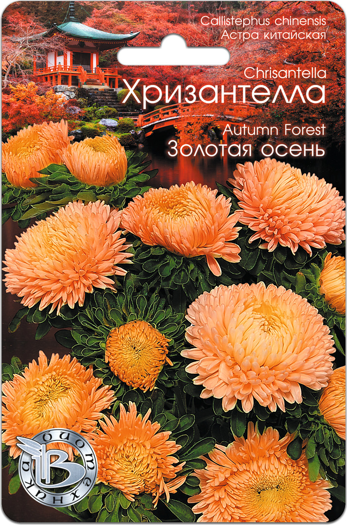 Хризантелла Отзывы Садоводов Фото Характеристики
