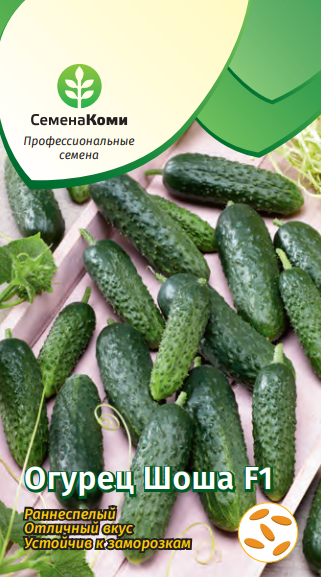 Огурец Шоша 5 шт СеменаКоми Ц