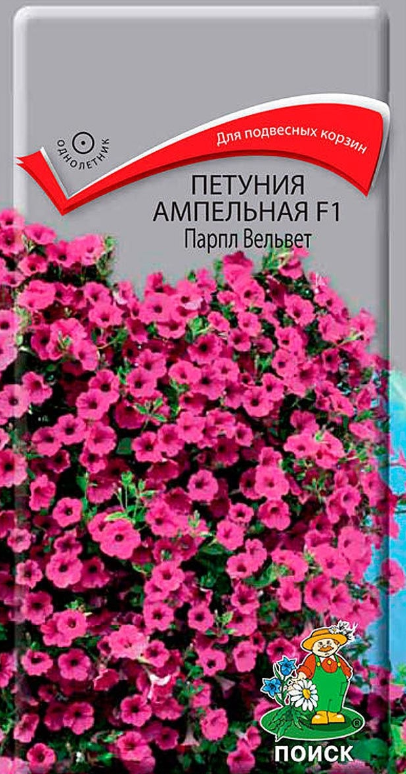 Петуния Парпл Вельвет F1 5шт Поиск Ц